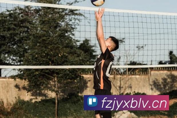 星空体育在线登录官网平台生态图